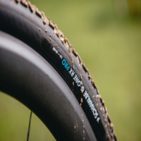 Schwalbe G-One RX Pro