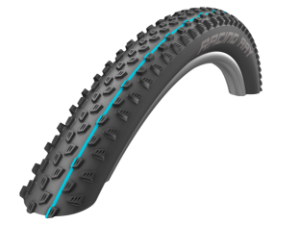 26x2.25 Schwalbe Racing Ray Evo TLE Super Ground  Addix Speed Grip