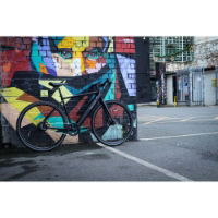 Falcon Zone 51.5cm Hybrid E-bike