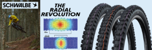 Schwalbe The Radial Revolution