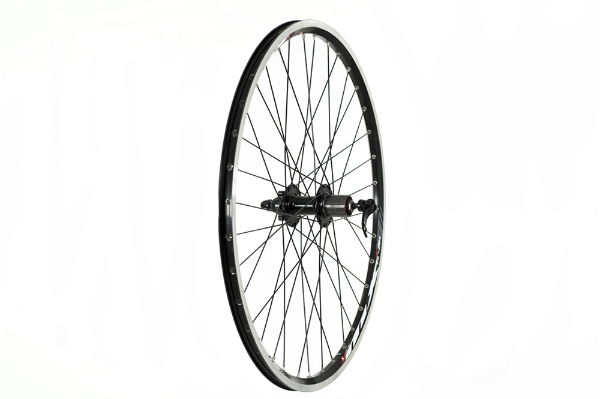 Rear 26" QR 8/9 Speed Cassette 6 Bolt Disc, Double Wall Rim Wheel Black