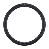 Schwalbe G-One RX Pro