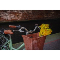 Dawes Elegance 47cm Hybrid E-bike