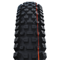 Schwalbe Albert Radial - Gravity Pro Addix Soft 
