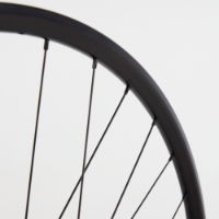 29" QR Cassette 6 Bolt Disc Rear Wheel Black