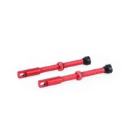 Oxford Alloy Tubeless Valves