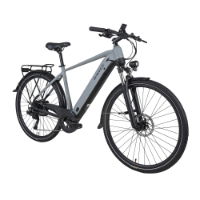 Dawes Spire 2.0 Cues Crossbar Electric Hybrid Bike